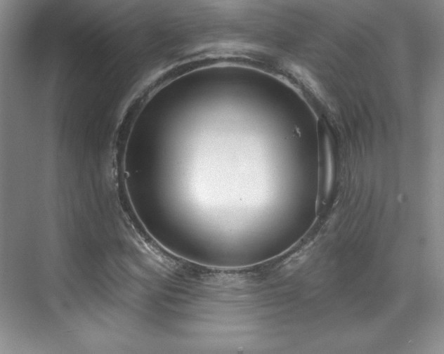 X0000076241164200609281132