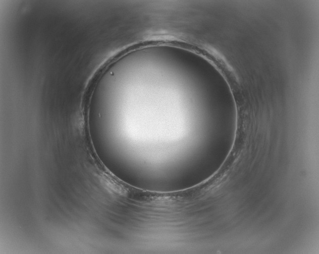 X0000076241167200609281132