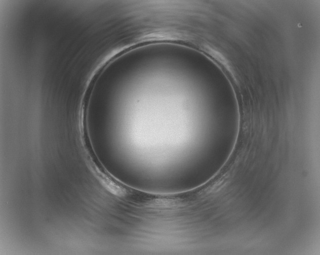 X0000076241179200609281132