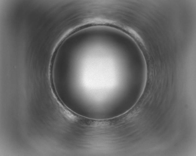 X0000076241183200609281132