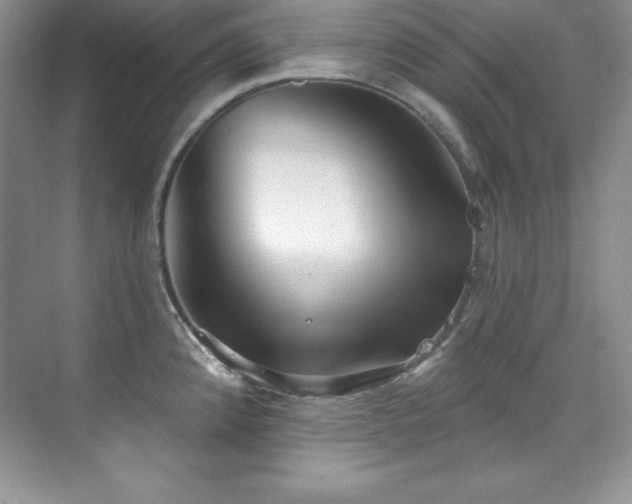 X0000076241192200609281132