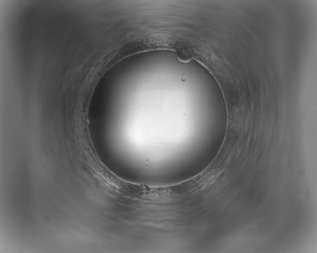 X0000076241201200609281131