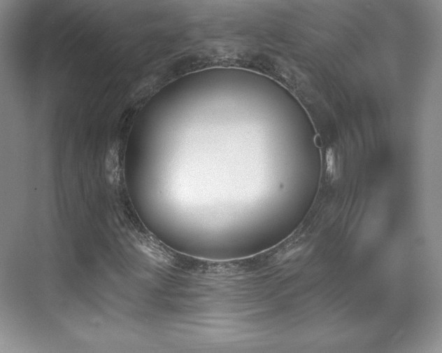 X0000076241203200609281131