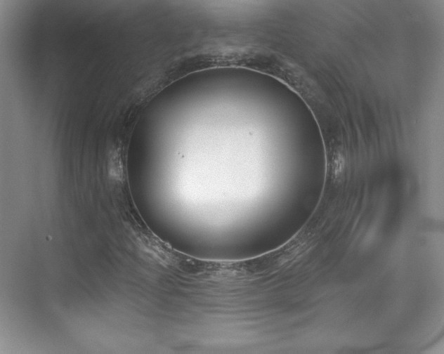 X0000076241204200609281131
