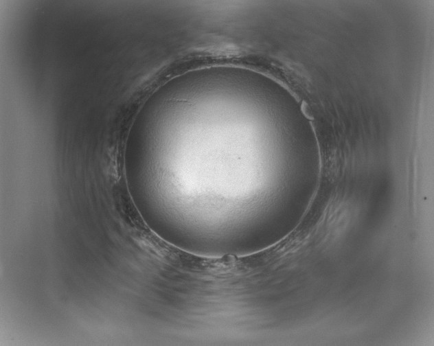 X0000076241205200609281131