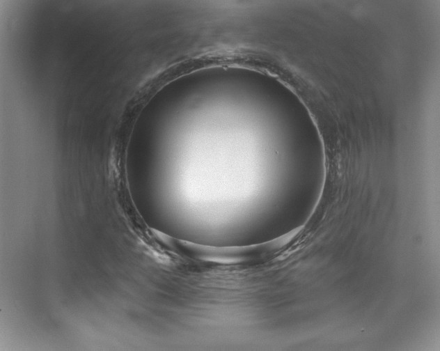 X0000076241206200609281131