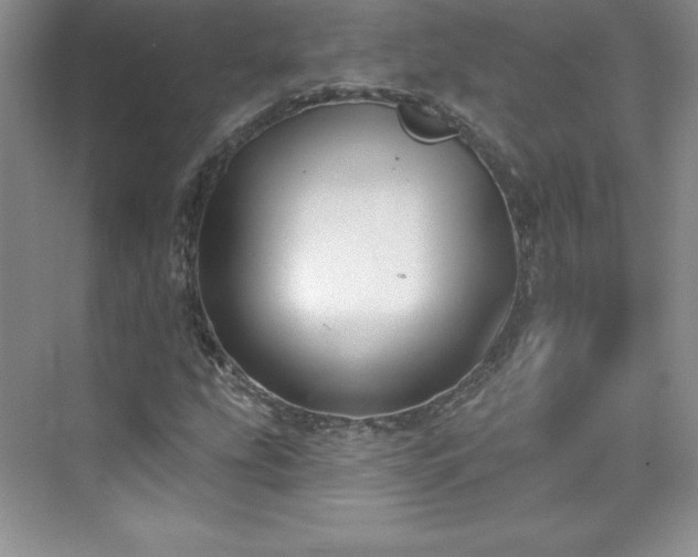 X0000076241207200609281131