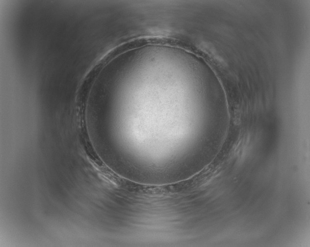 X0000076241208200609281131
