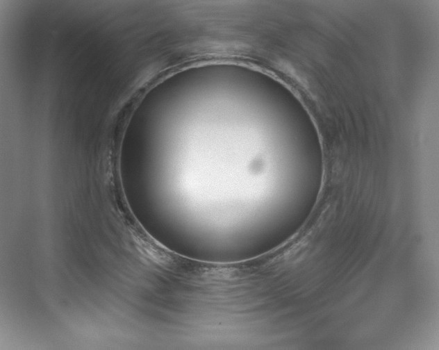 X0000076241211200609281131