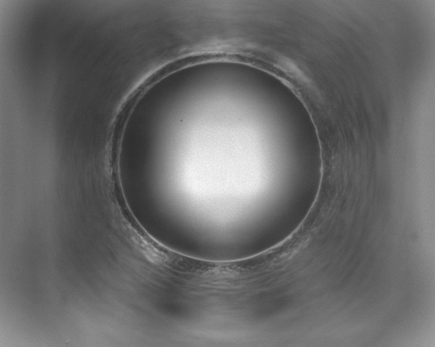 X0000076241216200609281131