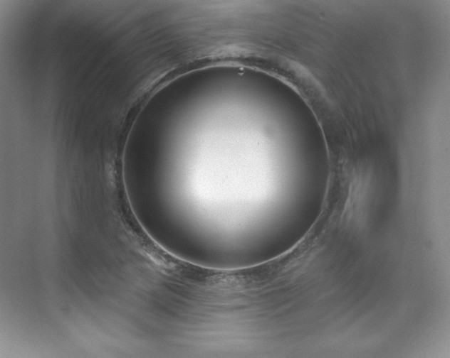 X0000076241217200609281131