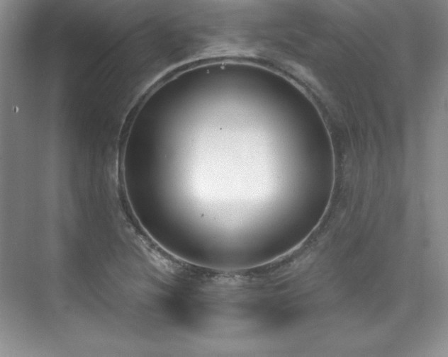 X0000076241220200609281131