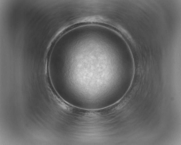 X0000076241224200609281131