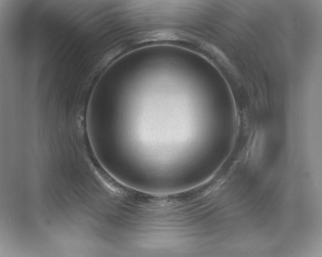 X0000076241225200609281131