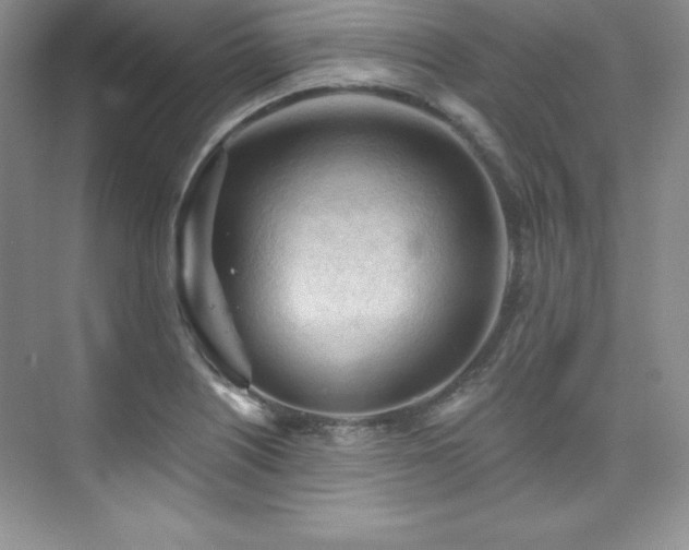 X0000076241226200609281131
