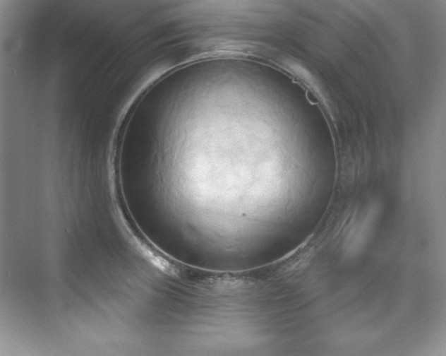 X0000076241235200609281131