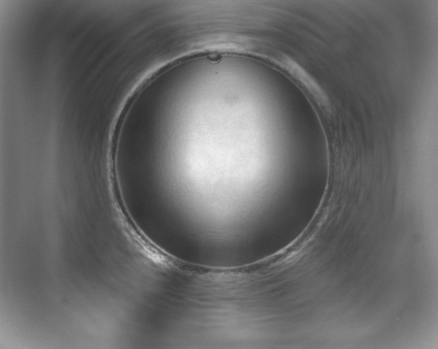 X0000076241240200609281132