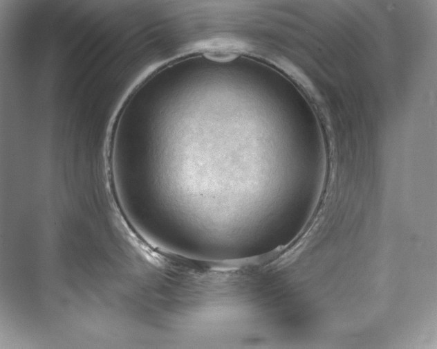 X0000076241248200609281132