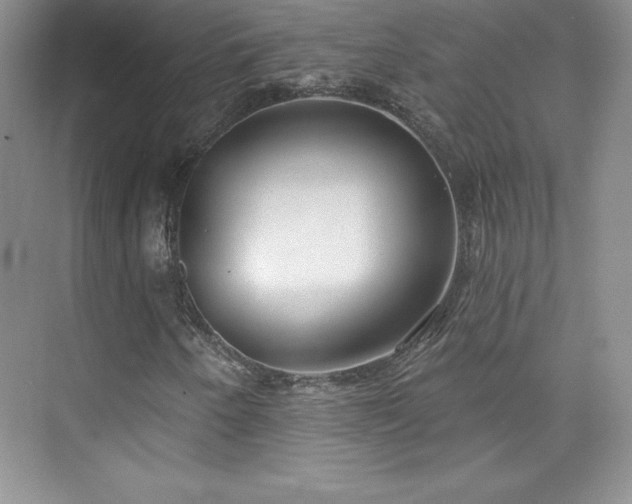 X0000076241250200609281131