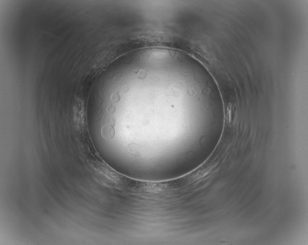 X0000076241251200609281131