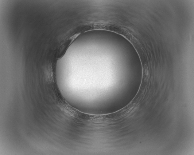 X0000076241252200609281131
