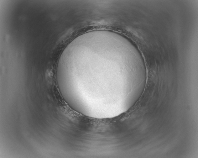 X0000076241254200609281131