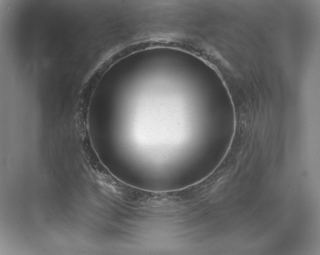 X0000076241256200609281131