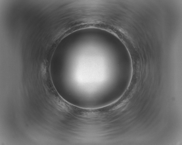 X0000076241257200609281131