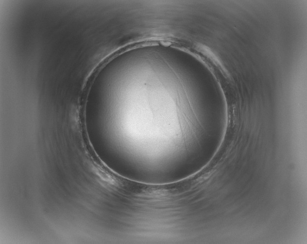 X0000076241260200609281131