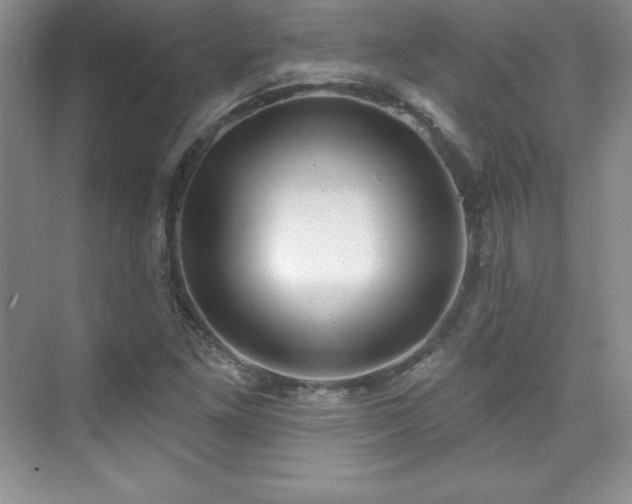 X0000076241261200609281131