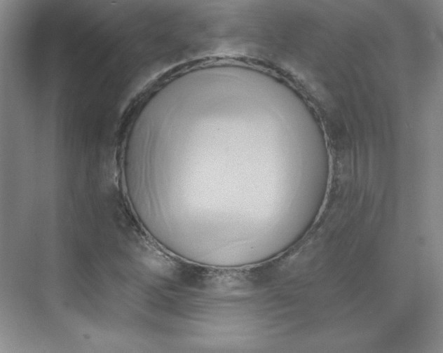 X0000076241262200609281131