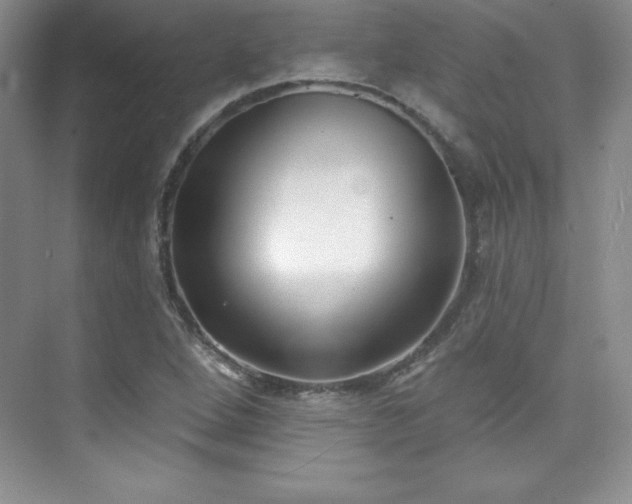 X0000076241264200609281131