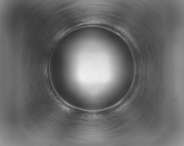 X0000076241273200609281130