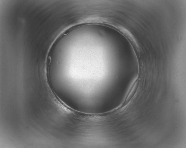 X0000076241288200609281130