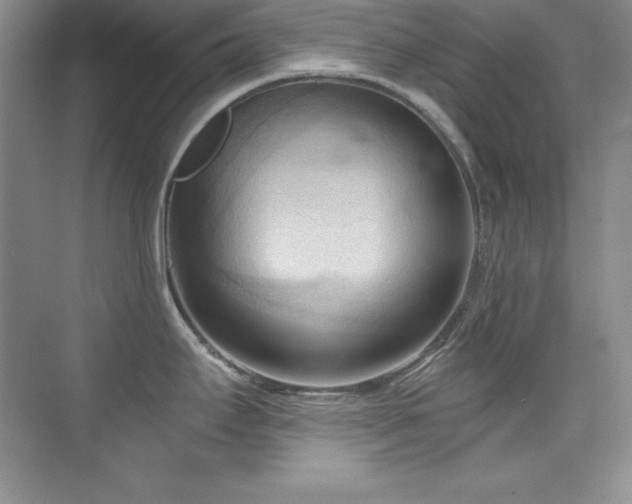 X0000076241295200609281130