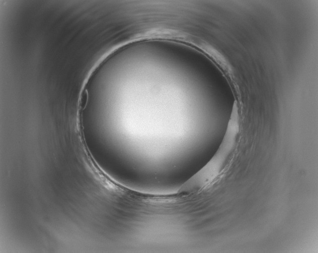 X0000076241296200609281130