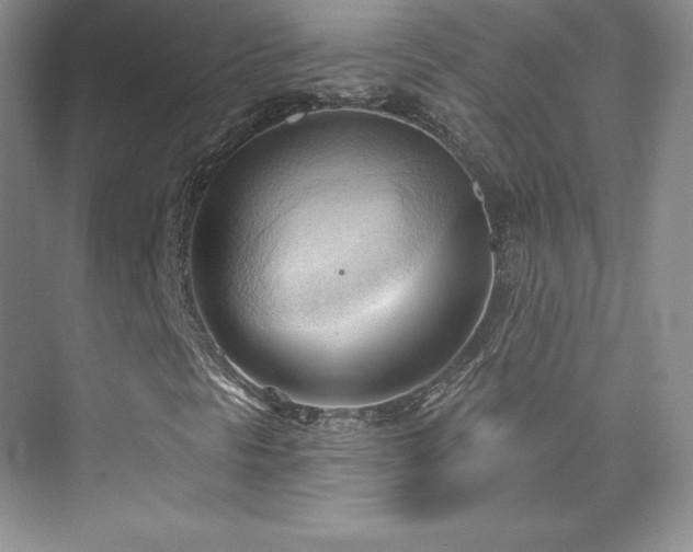 X0000076241297200609281129
