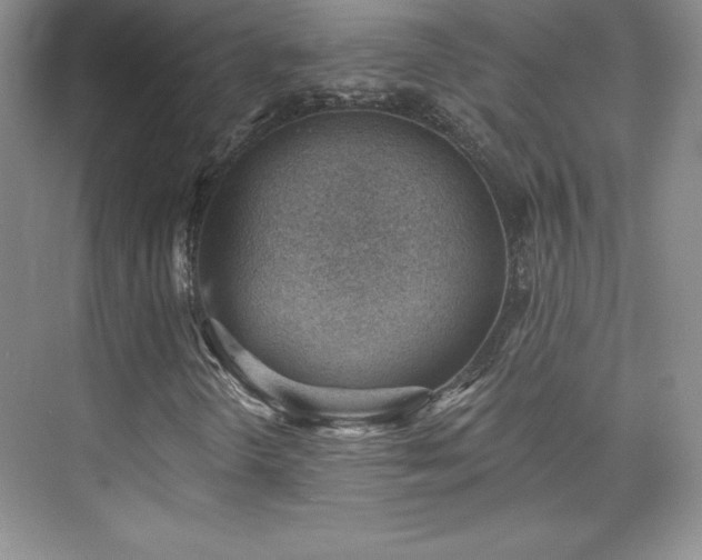 X0000076241298200609281129