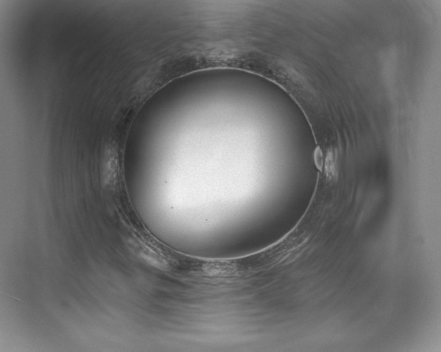 X0000076241299200609281129