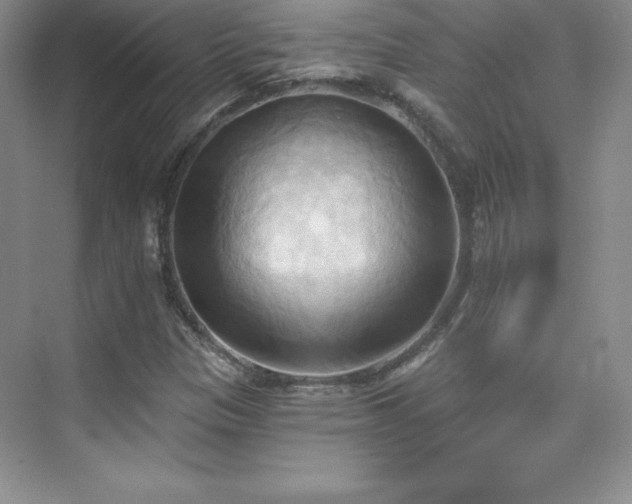 X0000076241305200609281129