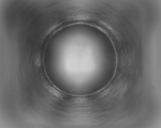 X0000076241306200609281129