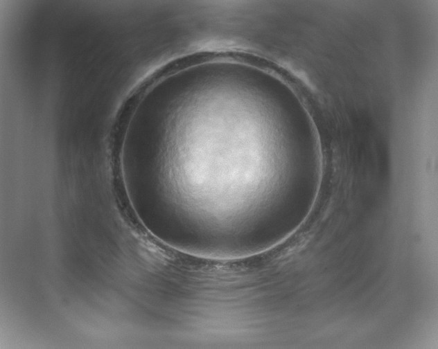 X0000076241311200609281130