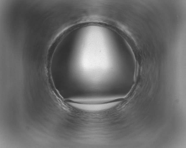 X0000076241312200609281130