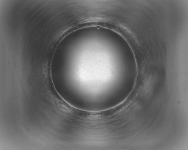 X0000076241313200609281130