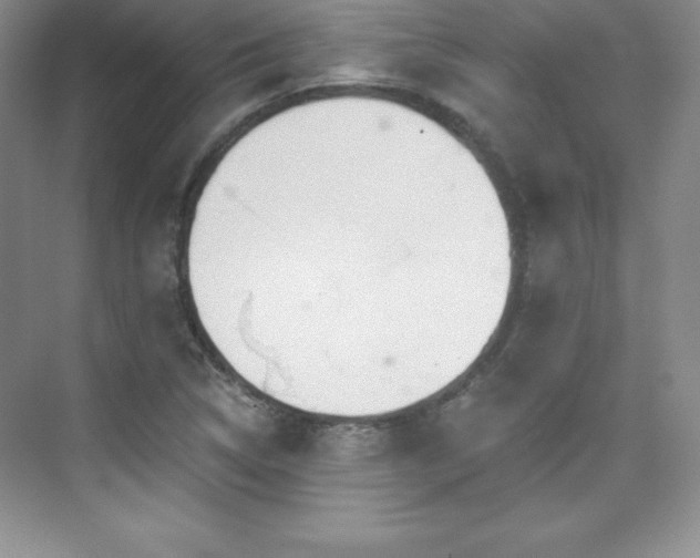 X0000076241314200609281130