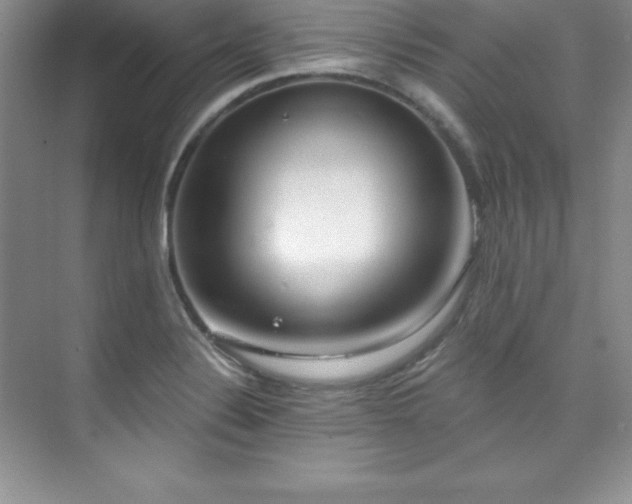 X0000076241324200609281130
