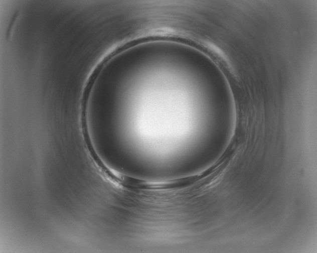 X0000076241326200609281130
