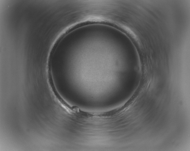 X0000076241327200609281130
