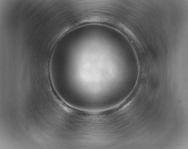 X0000076241329200609281130