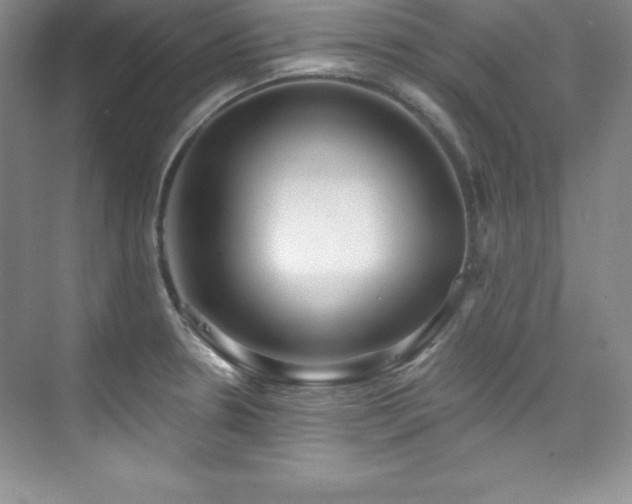 X0000076241330200609281130